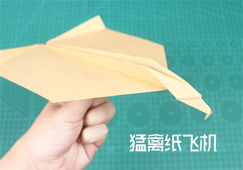 F22猛禽纸飞机的折法（鹰头纸飞机折法教程）