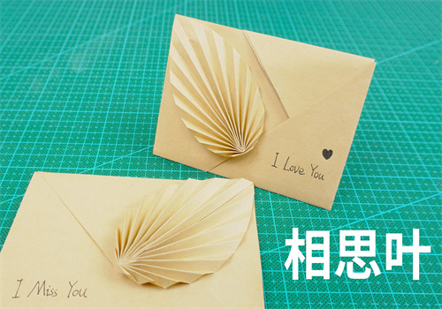 怎样用一张白纸折一个带叶子的信封（信封怎么折）
